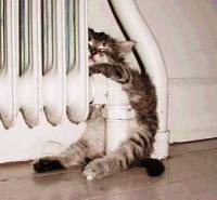 Правительство передумало повышать тарифы для тех, кто не пользуется счетчиками Правительство передумало повышать тарифы для тех, кто не пользуется счетчиками